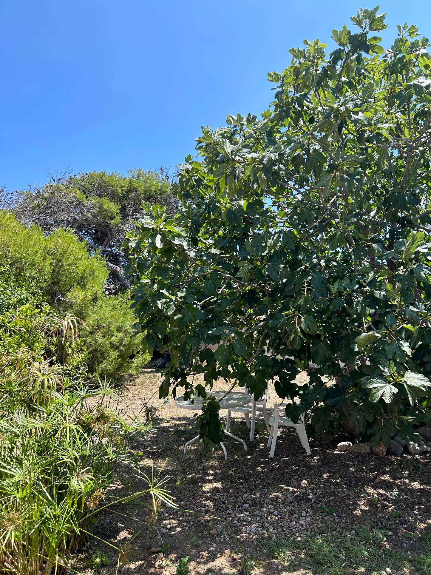 Beach house in Denia with a big garden