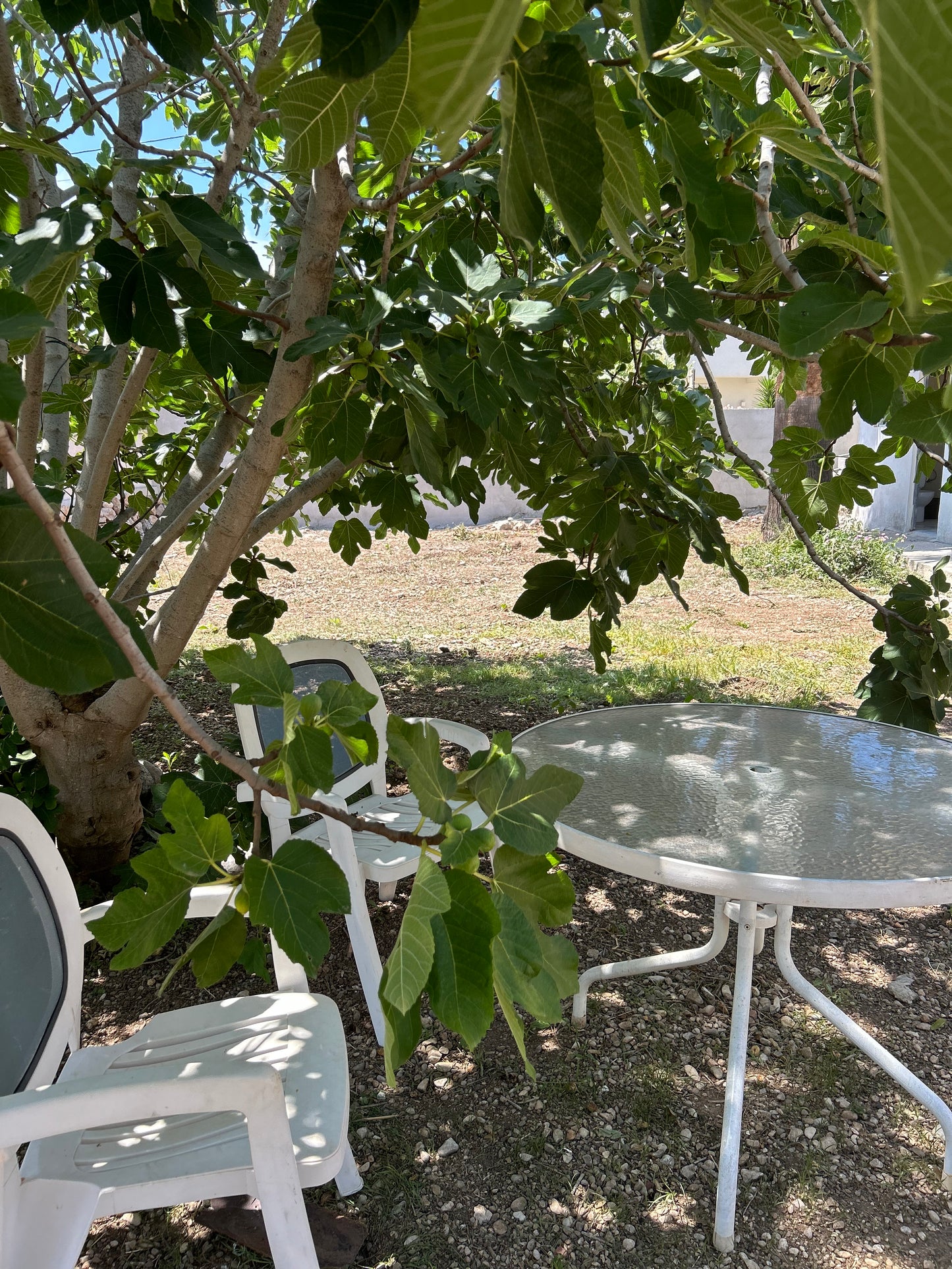 Beach house in Denia with a big garden