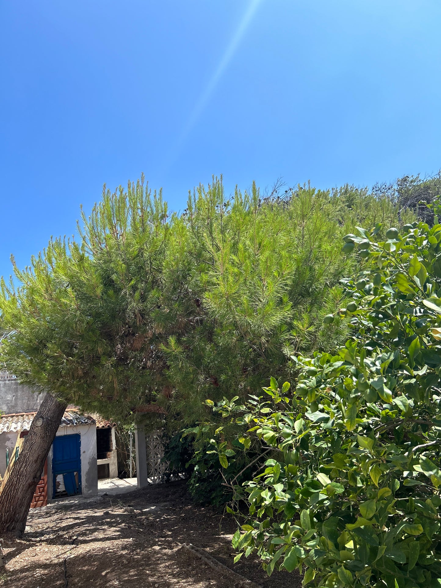 Beach house in Denia with a big garden