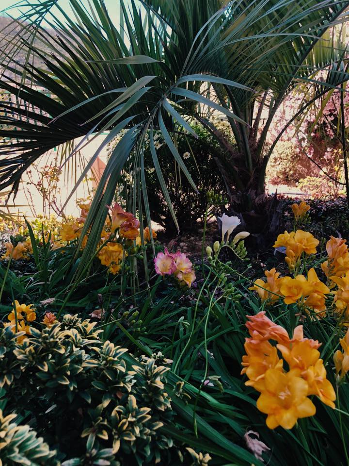 Garden Design by Colores De La Tierra