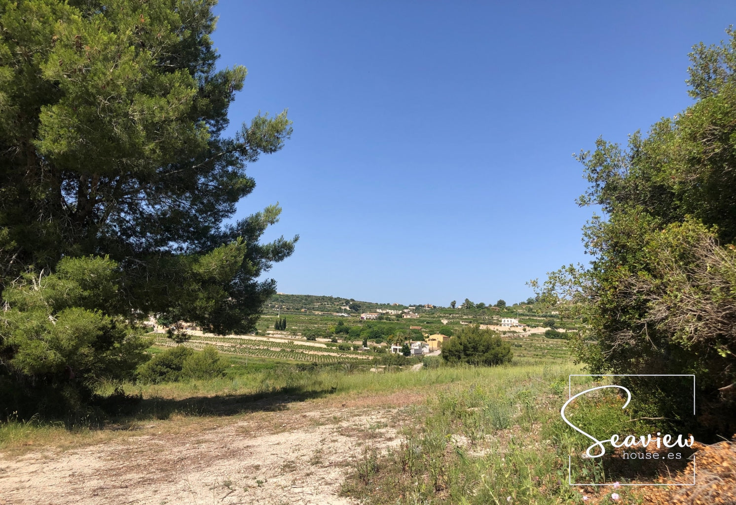 A 20 000 M2 Plot In Teulada With A Building License