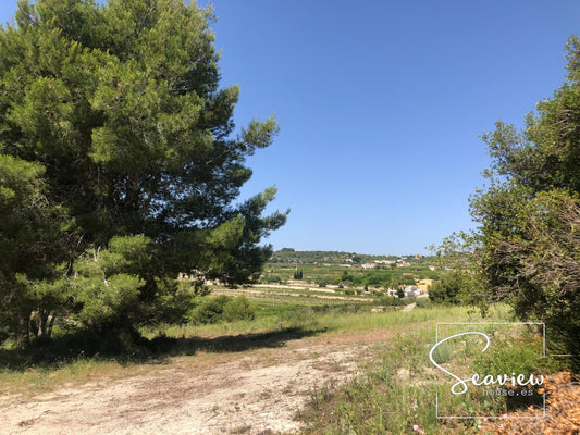 A 20 000 M2 Plot In Teulada With A Building License