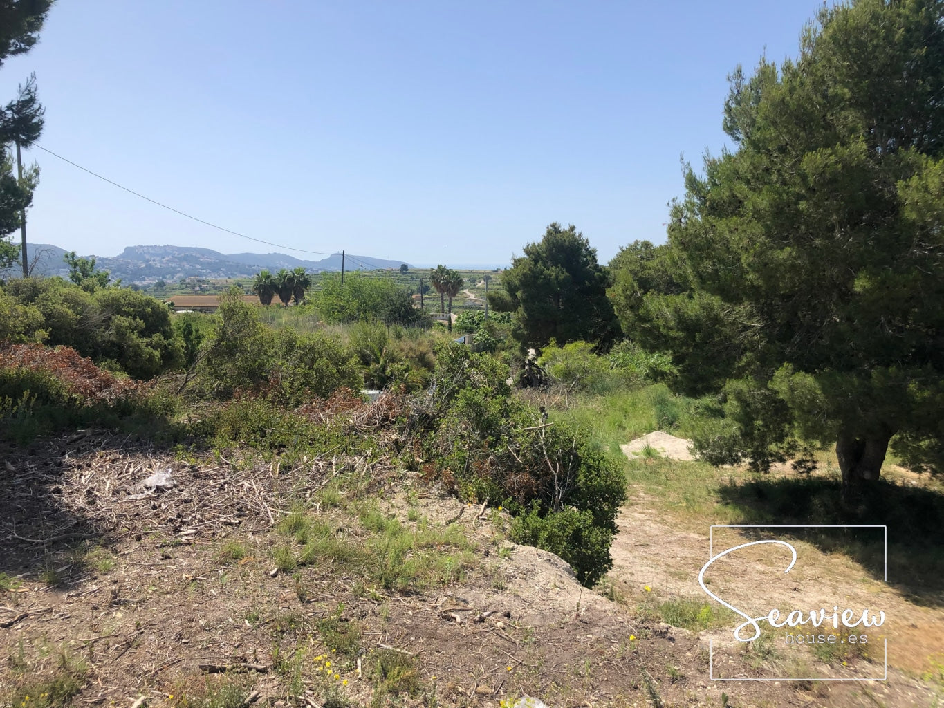 A 20 000 M2 Plot In Teulada With A Building License